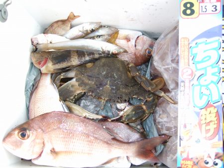 キスはなかなかしぶかった